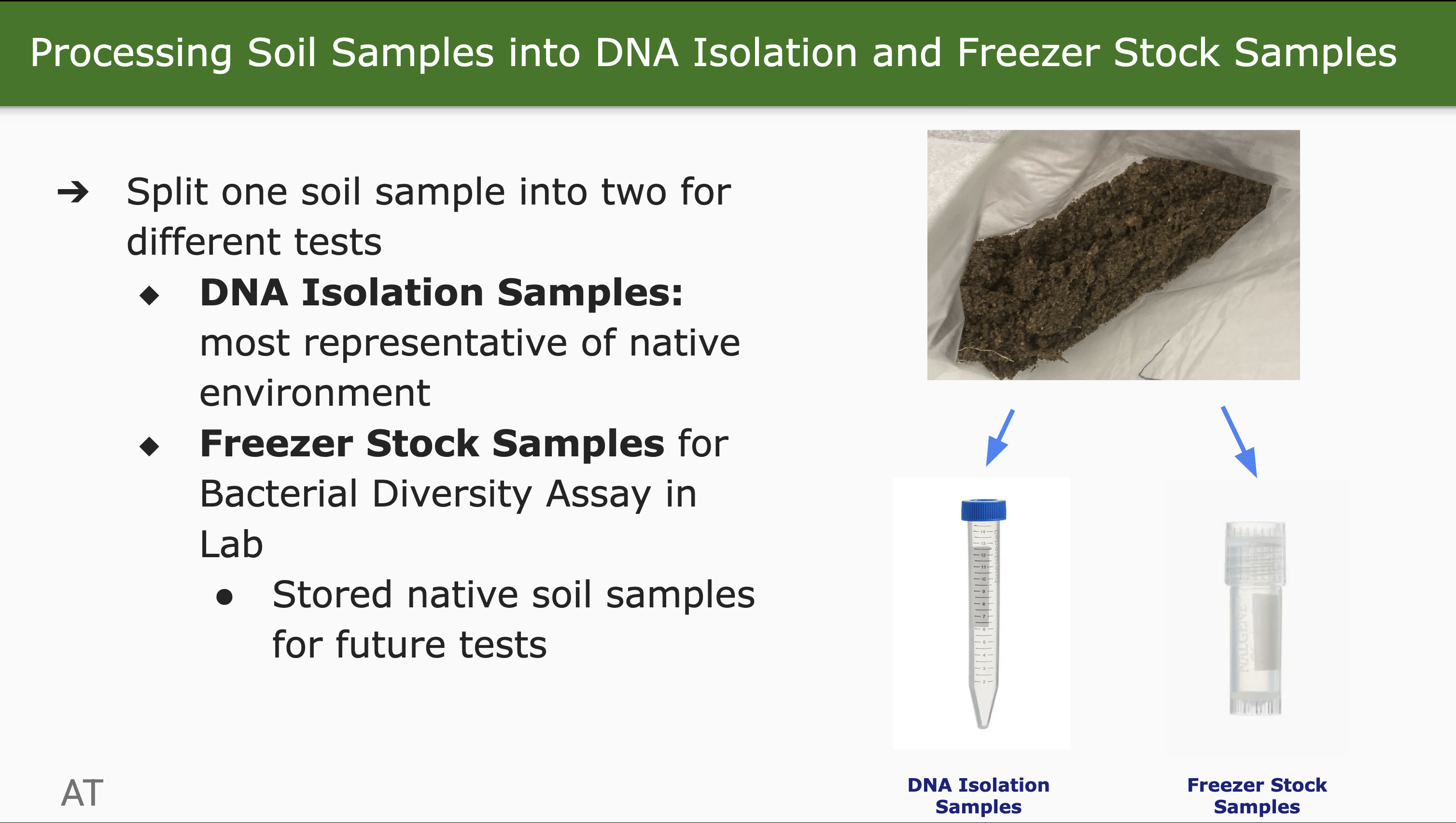 Slide 15